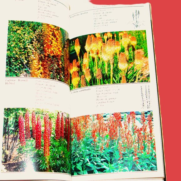 Taylor's Guide to Perennials, The Best of the gardner's favorite plants,with 417 - Picture 10 of 12